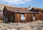 bodie 13 IMG 4225