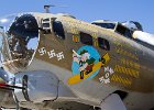 Warbird Nose Art